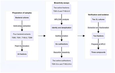 Bioprospecting of inhibitors of EPEC virulence from metabolites of marine actinobacteria from the Arctic Sea